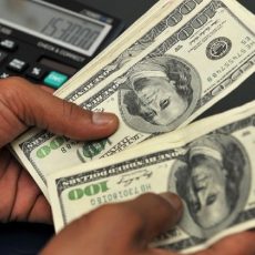 Relevamiento de Activos y Pasivos Externos